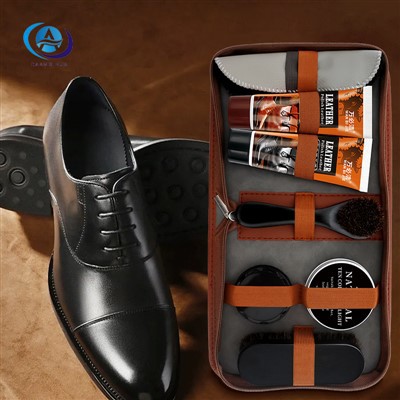 Deluxe Shoe Care Kit